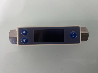 微小氣體質(zhì)量流量計